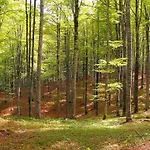 Casa Alpago Spert