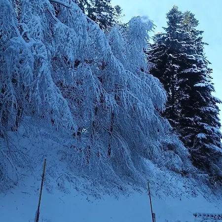Lägenhet Casa Alpago *