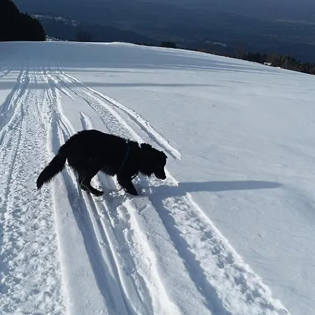 Casa Alpago Lägenhet *