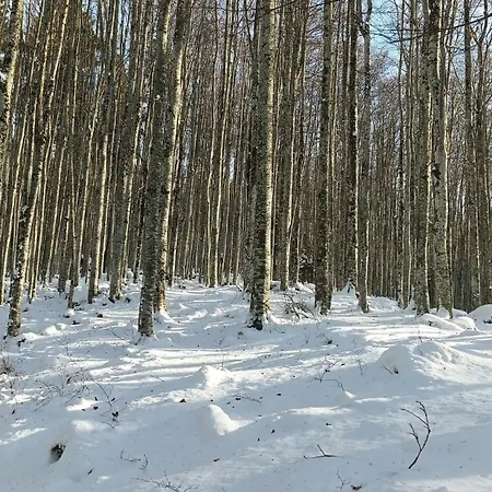 Casa Alpago Διαμέρισμα *