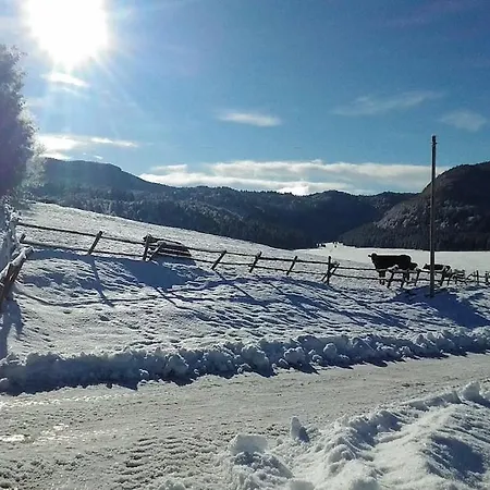 Διαμέρισμα Casa Alpago